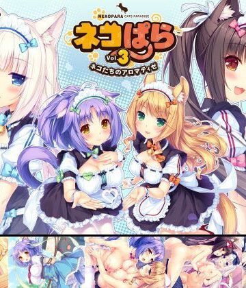 【恋愛】ネコぱら vol.3 ネコたちのアロマティゼ❤NEKO WORKs評価4.91