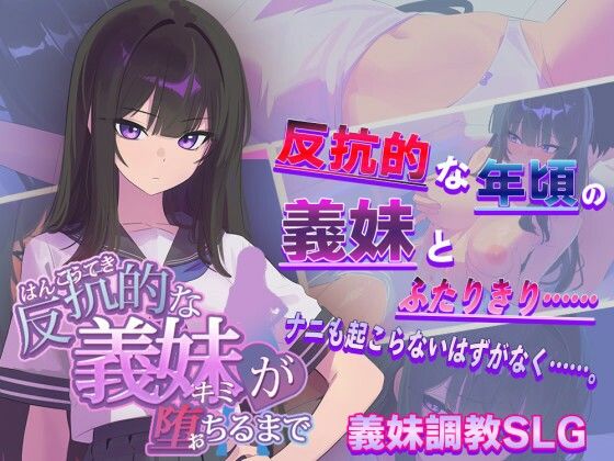 【羞恥】反抗的な義妹（きみ）が堕ちるまで❤からあげカンパニー評価3.56