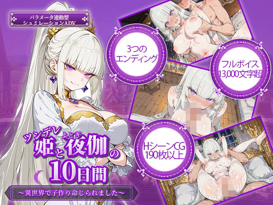 【ファンタジー】ツンデレ姫と夜伽の10日間 〜異世界で子作り命じられました〜❤電脳ヒロインズ評価