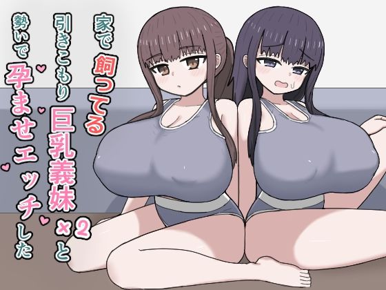 【デモ・体験版あり】家で飼ってる引きこもり巨乳義妹×2と勢いで孕ませエッチした❤にしかわ屋評価