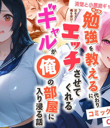 【制服】勉強を教える代わりにエッチをさせてくれるギャルが俺の部屋に入り浸る話 〜清楚と小悪魔ギャルの純愛編〜❤夜の快楽評価