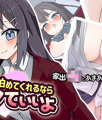 【動画・アニメーション】泊めてくれるならシていいよ❤なうSoS評価4.15