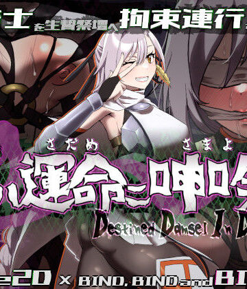 【動画・アニメーション】姫ハ運命ニ呻吟ヘリ Destined Damsel In Distress❤エーギグ・エーレ・ファウンデーション評価3.00