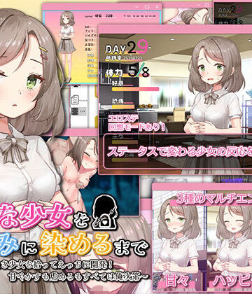 【羞恥】無垢な少女を俺好みに染めるまで〜家なき少女を拾ってえっちに開発！ 甘やかすも虐めるもすべては俺次第〜❤まいんマイン評価3.00