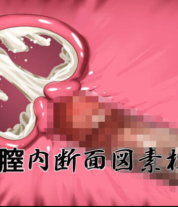 【イラスト・CG集】膣内断面図素材2❤水の木評価
