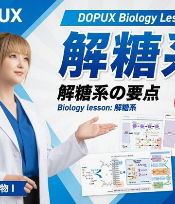 【3DCG】【▲20】一ノ瀬廻里 大学に進学し強豪予備校『DOPUX（ドピュックス』で生物I，IIを教える名物講師に！（Vol.021:解糖系）❤Libido-Labo評価