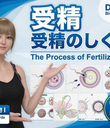【3DCG】【▲20】一ノ瀬廻里 大学に進学し強豪予備校『DOPUX（ドピュックス』で生物I，IIを教える名物講師に！（Vol.035:受精）❤Libido-Labo評価