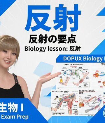 【3DCG】【▲20】パンチラガチャ★一ノ瀬廻里 大学に進学し強豪予備校『DOPUX（ドピュックス』で生物I，IIを教える名物講師に！（Vol.048:反射）❤Libido-Labo評価
