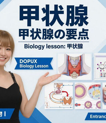 【3DCG】【▲20】パンチラガチャ★一ノ瀬廻里 大学に進学し強豪予備校『DOPUX（ドピュックス』で生物I，IIを教える名物講師に！（Vol.050:甲状腺）❤Libido-Labo評価