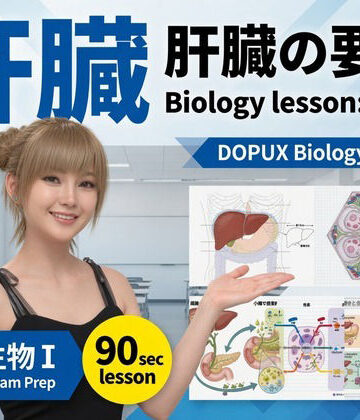 【3DCG】【▲20】パンチラガチャ★一ノ瀬廻里 大学に進学し強豪予備校『DOPUX（ドピュックス』で生物I，IIを教える名物講師に！（Vol.054:肝臓）❤Libido-Labo評価