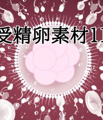 【イラスト・CG集】受精卵素材11❤水の木評価
