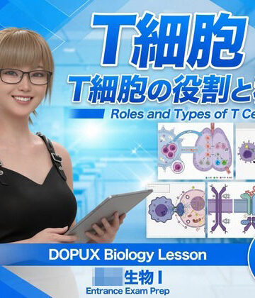 【3DCG】【▲20】パンチラガチャ★一ノ瀬廻里 大学に進学し強豪予備校『DOPUX（ドピュックス』で生物I，IIを教える名物講師に！（Vol.065:T細胞）❤Libido-Labo評価